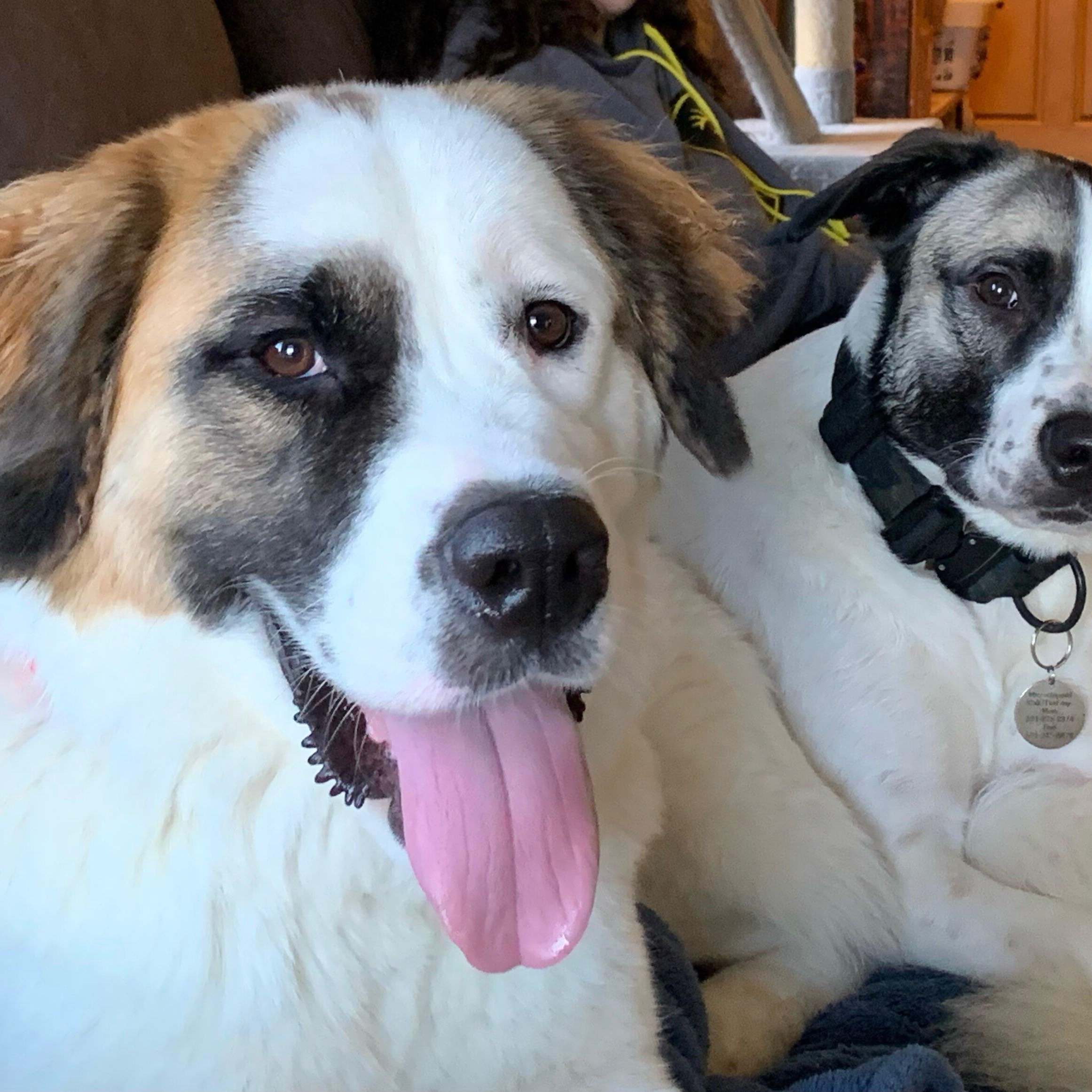 Pamela **COURTESY POST**