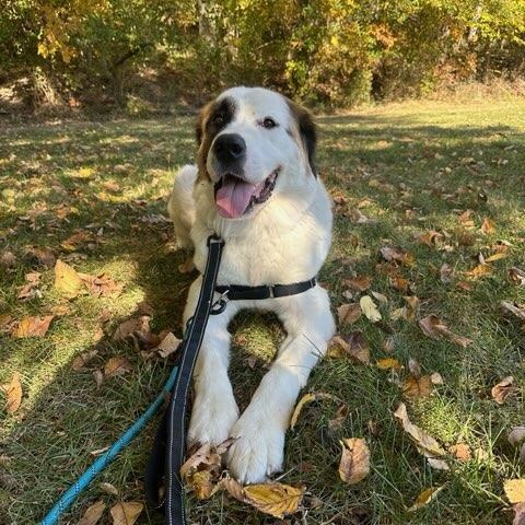 Pamela **COURTESY POST**