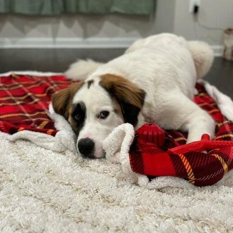 Pamela **COURTESY POST**