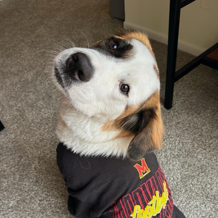 Pamela **COURTESY POST**