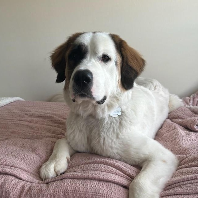 Pamela **COURTESY POST**