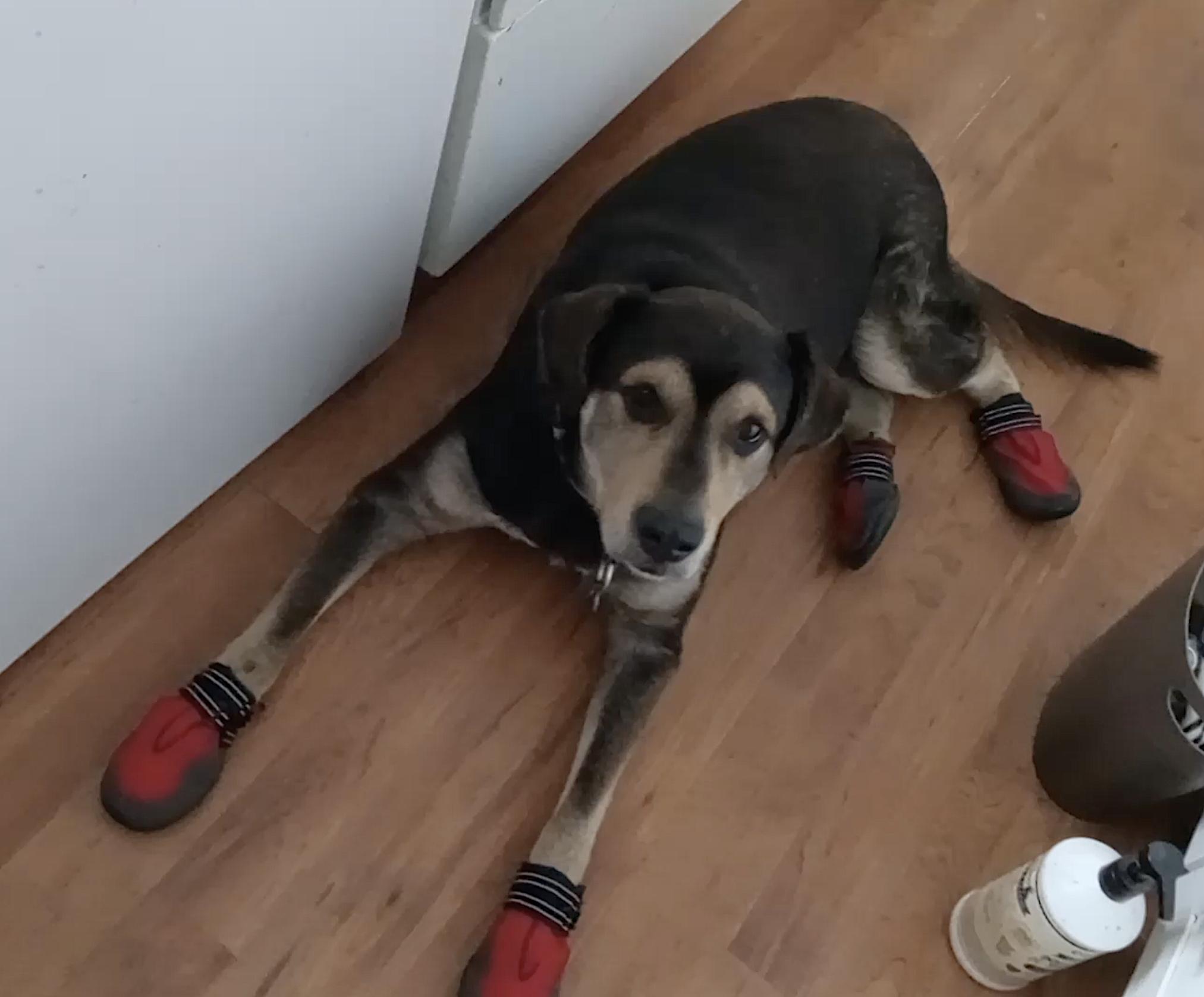 Chance — thumbnail 2