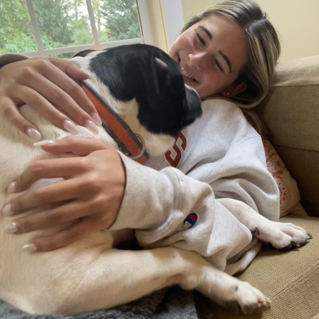 Beatrice, Adoptable, Adult Female Mixed Breed.
