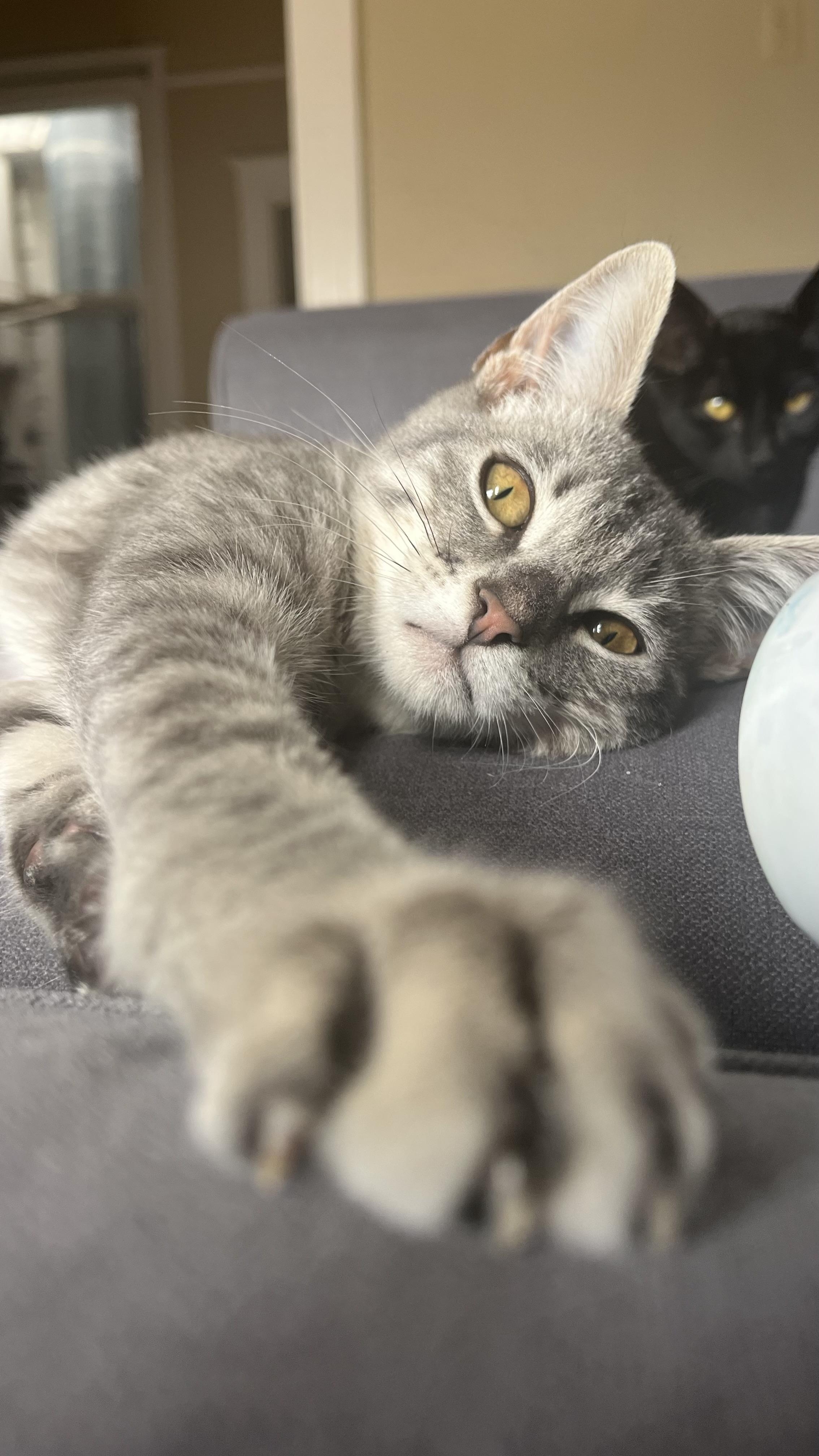 Hubert Or "huby" thumbnail 3