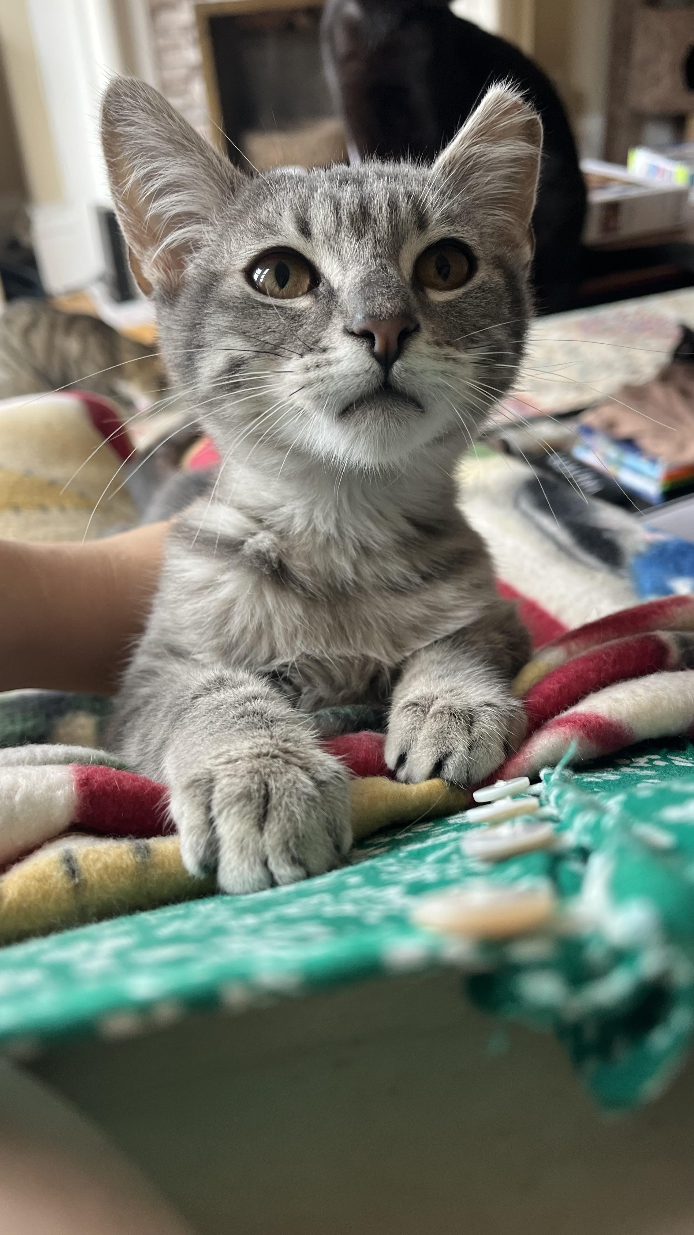 Hubert Or "huby"