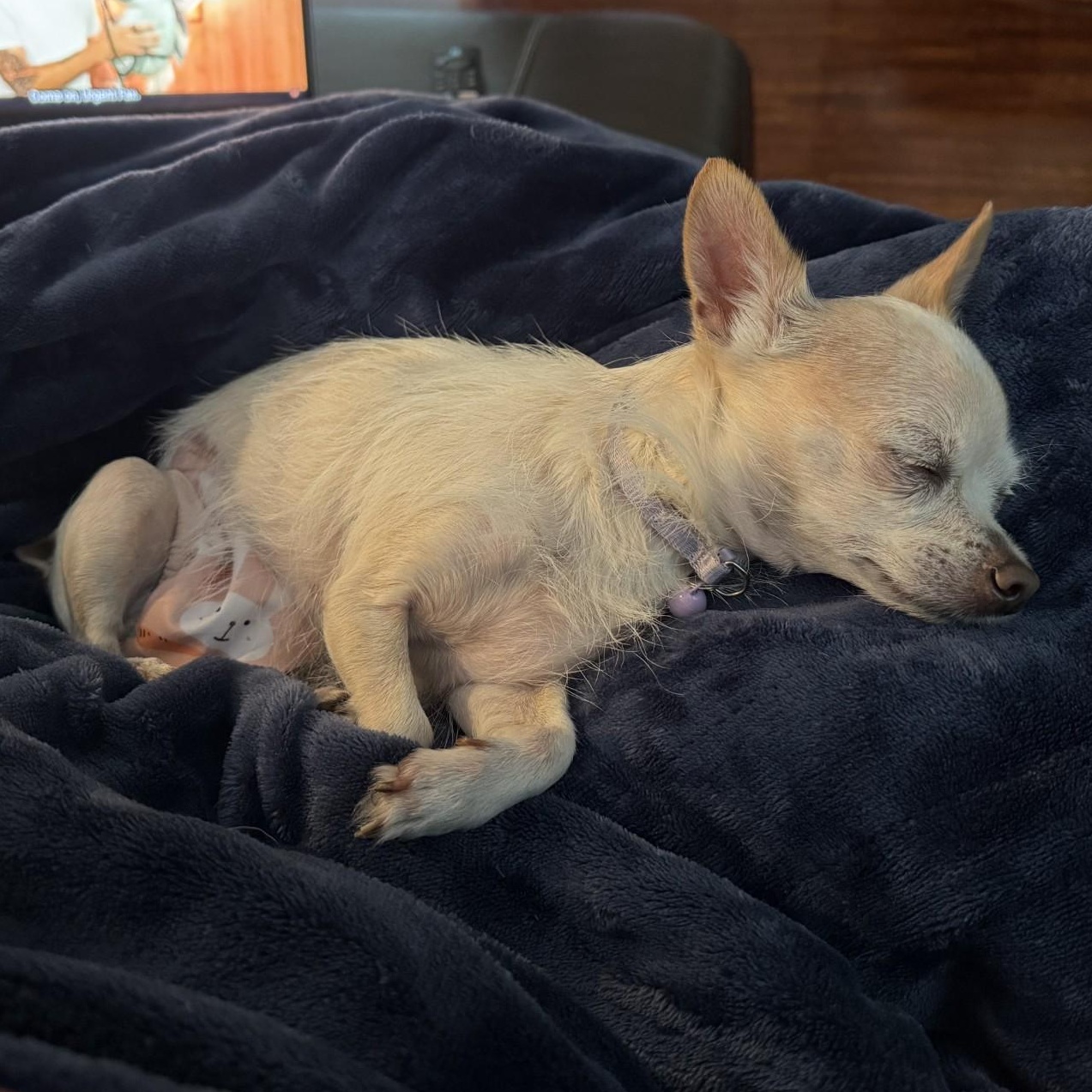 Lemon — thumbnail 3