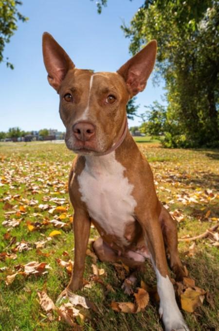 COOKIE - SWEET GIRL!