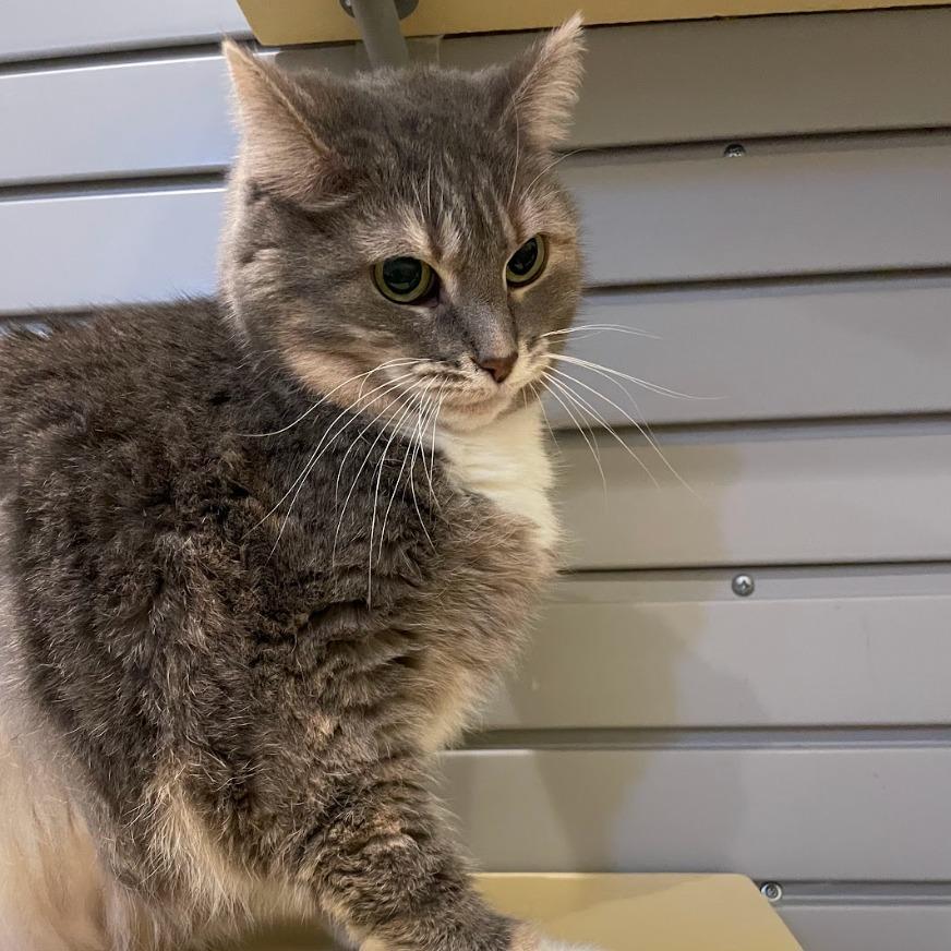 Missy — thumbnail 3