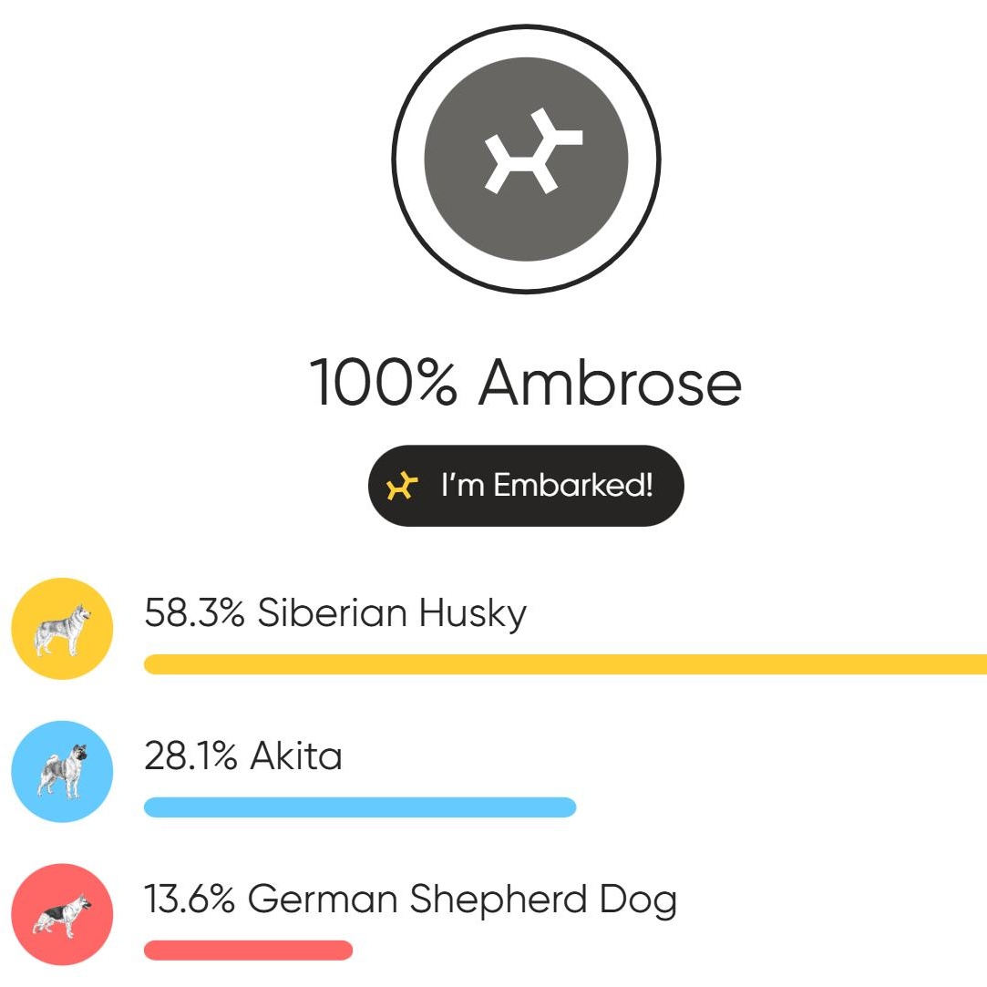 Ambrose, a ADOPTABLE mixed breed in Adrian, MI image 5/6