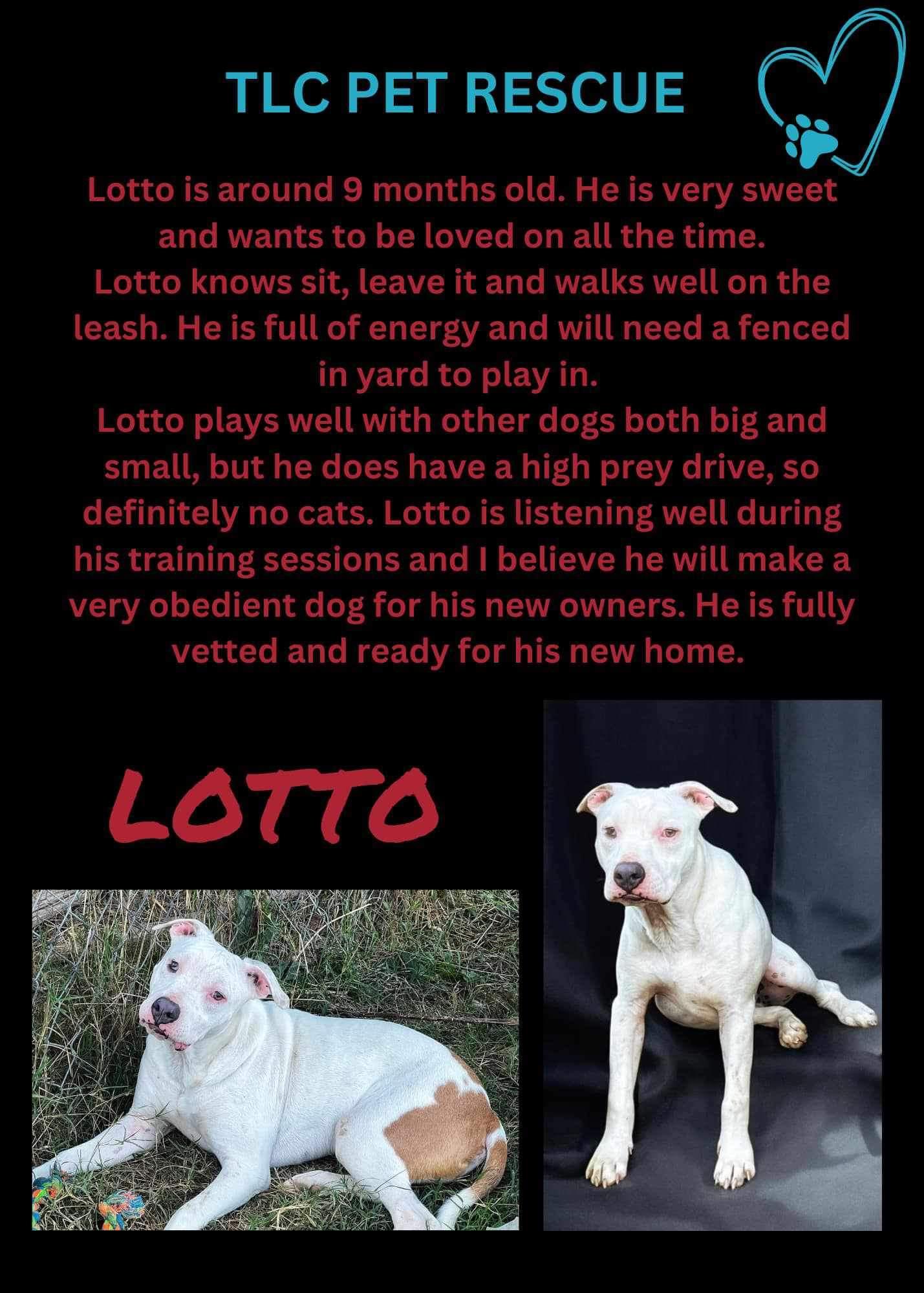 Lotto