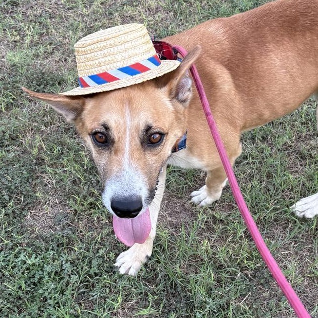 Flako — thumbnail 3