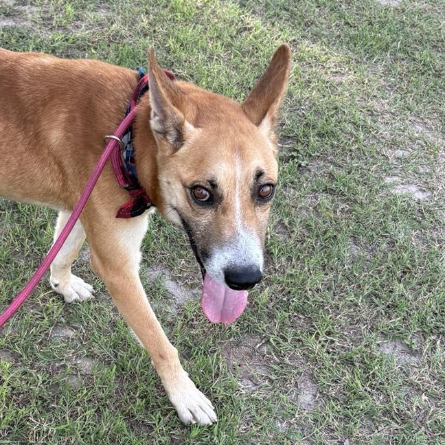 Flako — thumbnail 4