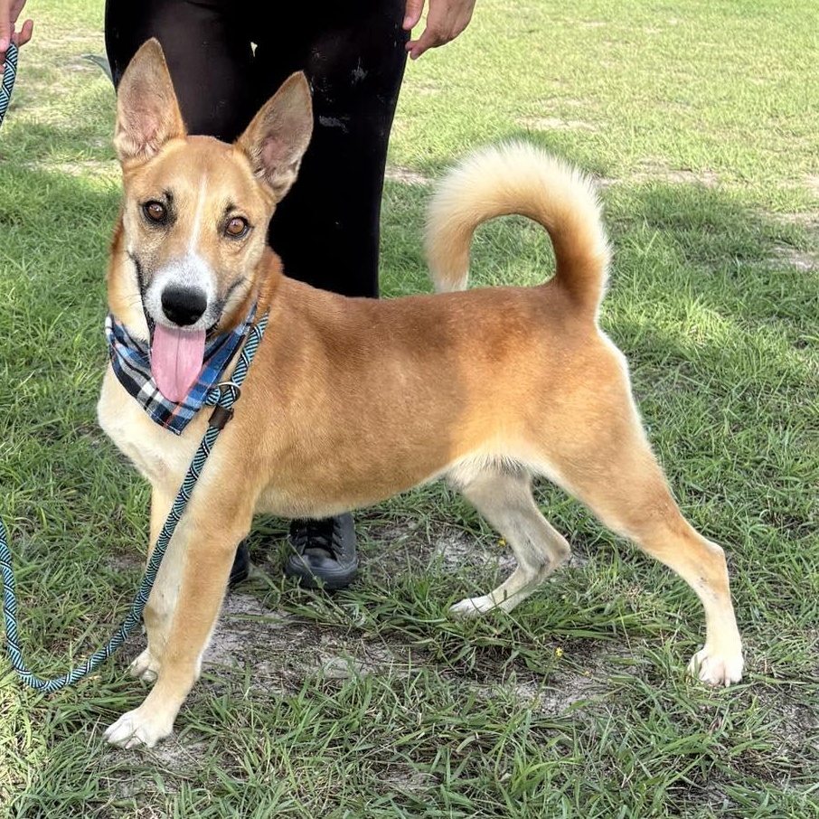 Flako — thumbnail 5