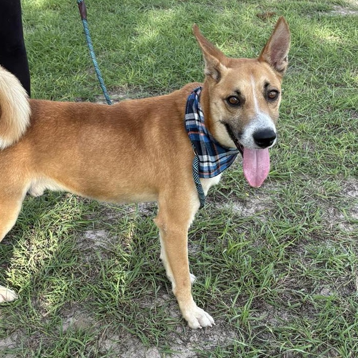 Flako — thumbnail 6