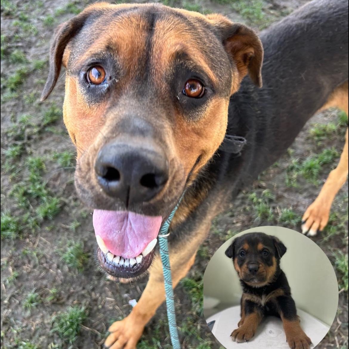 Craig URGENT!