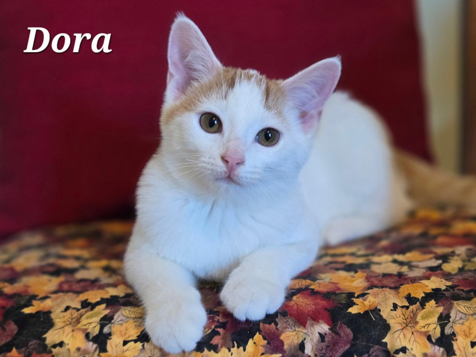 Dora photo