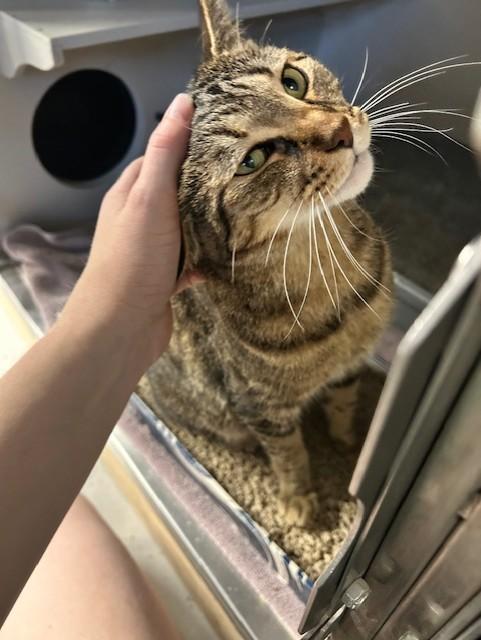 Oliver