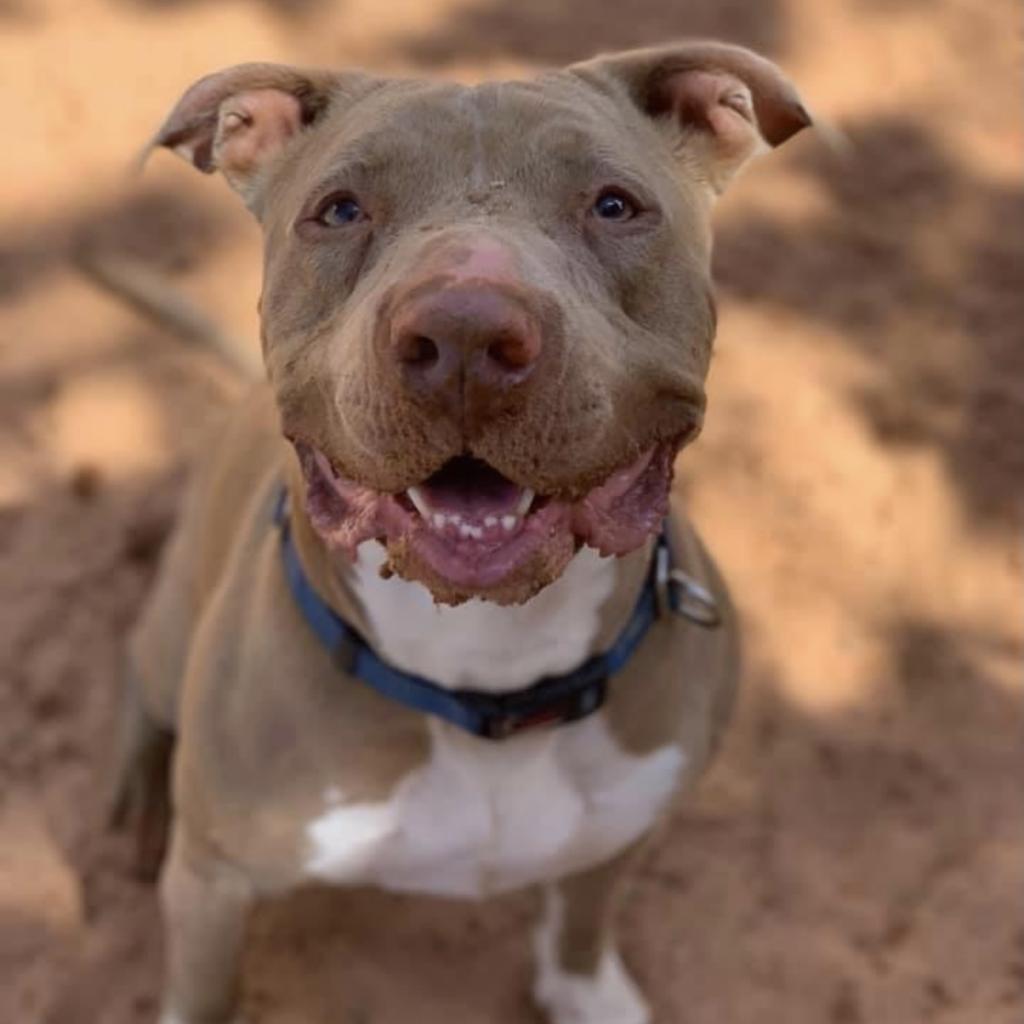 Lincoln — thumbnail 3