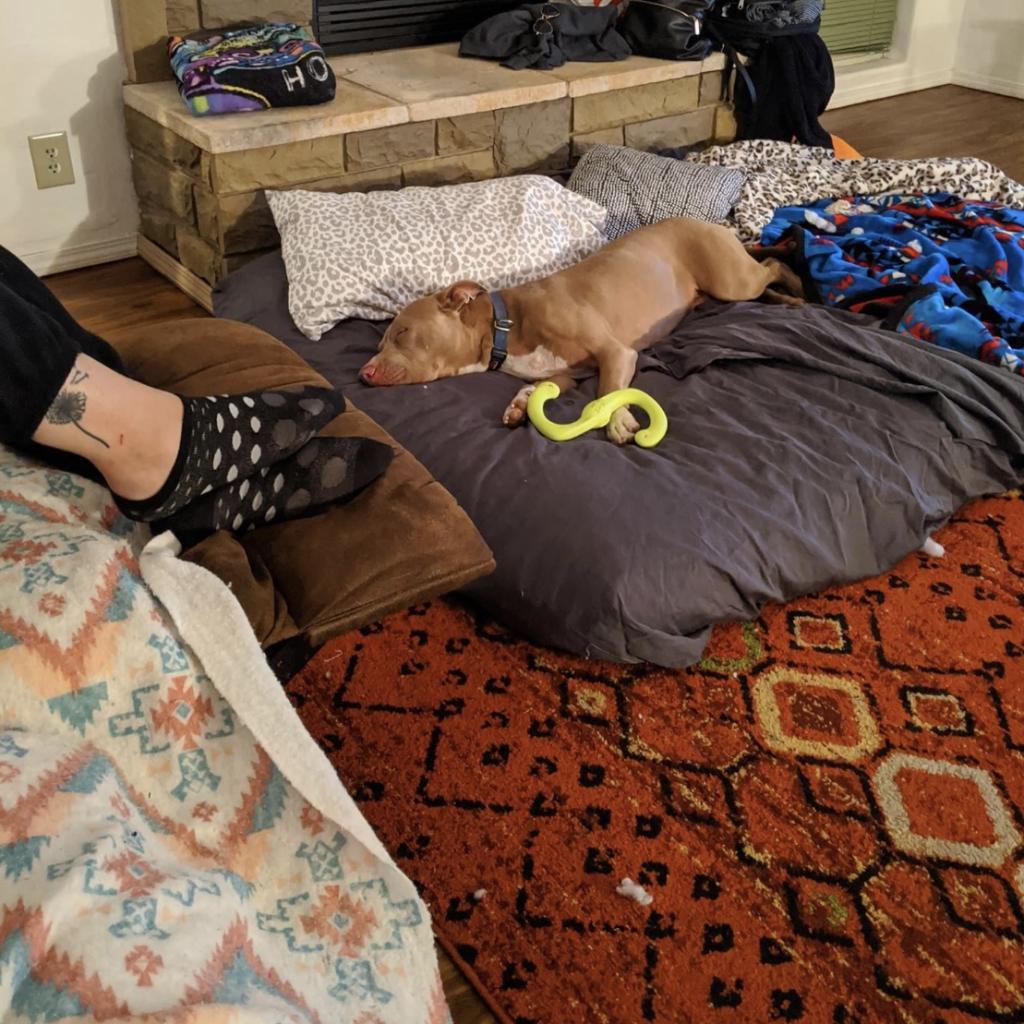 Lincoln — thumbnail 4