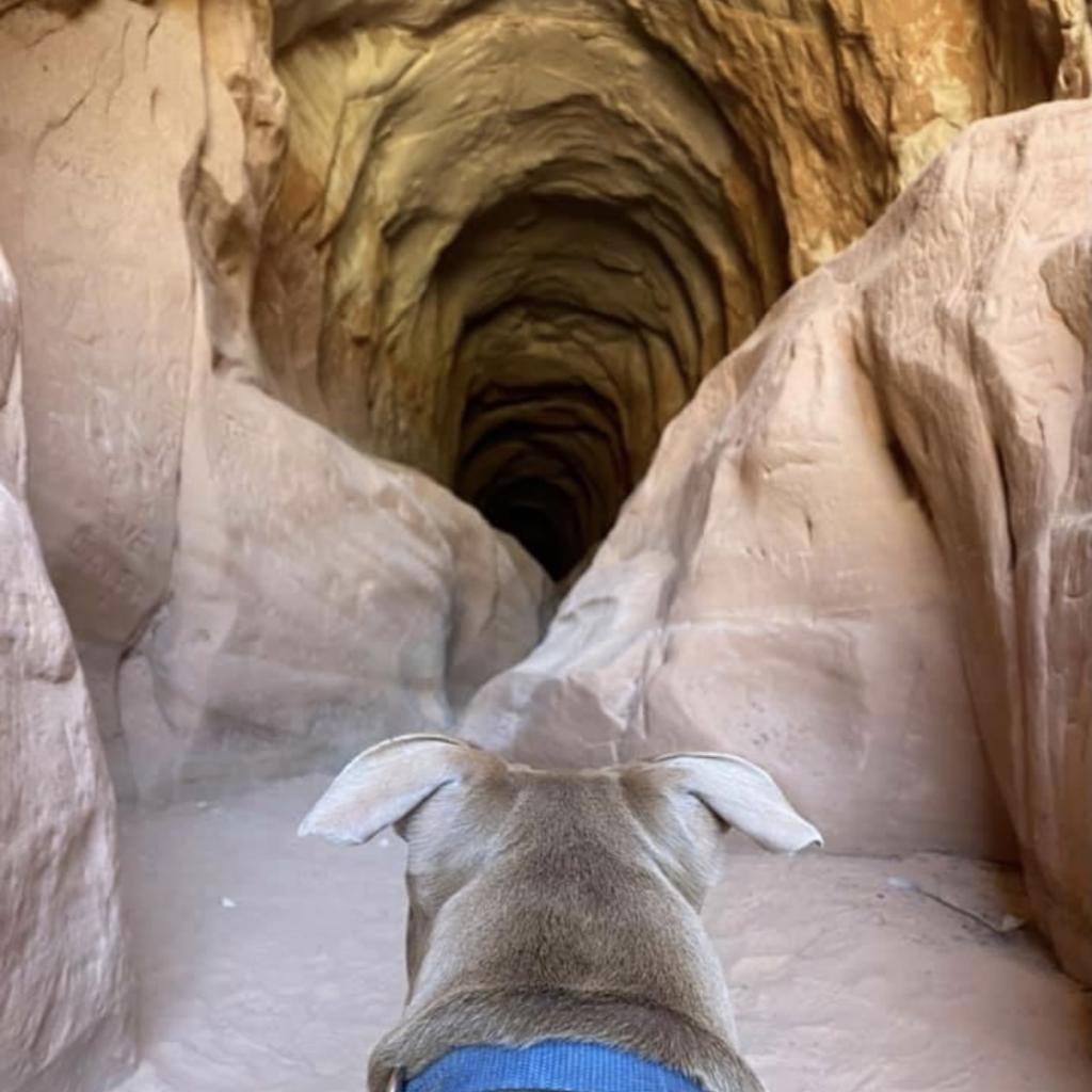 Lincoln — thumbnail 6