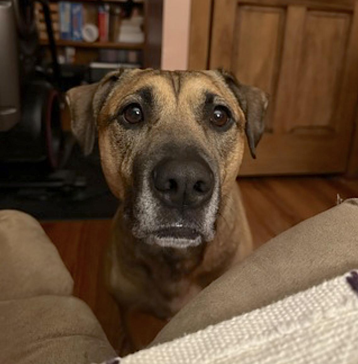 Nessie — thumbnail 3