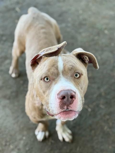 MARKY — thumbnail 2