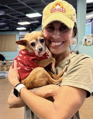Enlarge Bebe, a ADOPTABLE mixed breed in Walnut Creek, CA image 3/4
