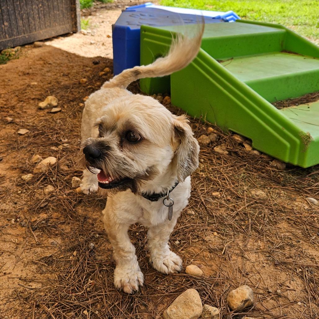 Toby Keith — thumbnail 3