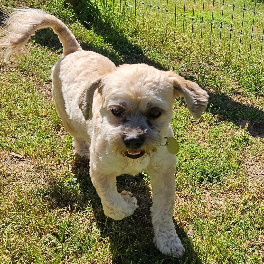 Toby Keith — thumbnail 4