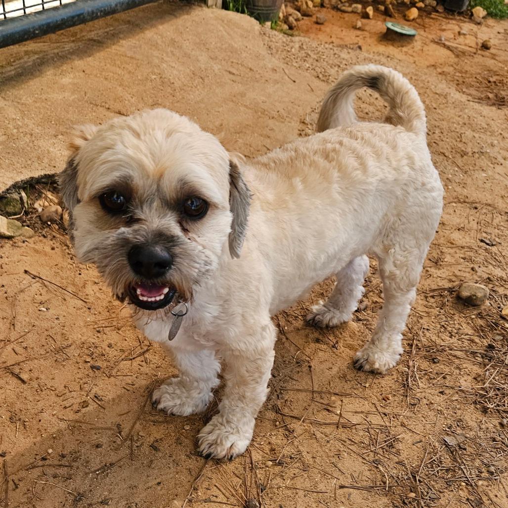 Toby Keith — thumbnail 5