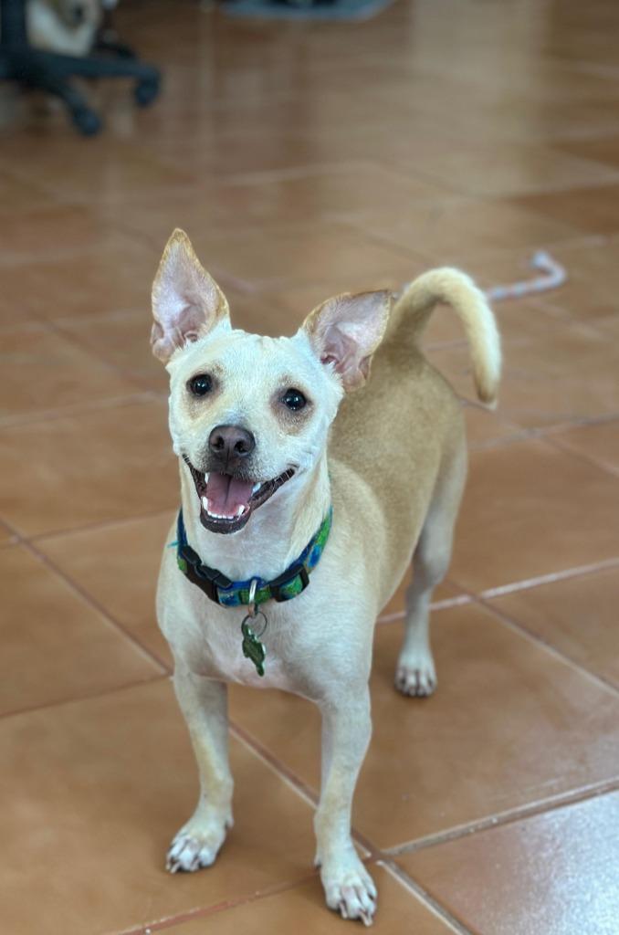 Max