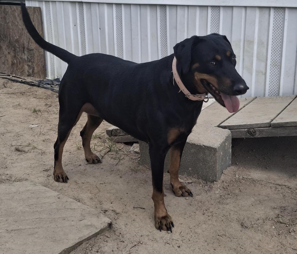 BABY — thumbnail 2