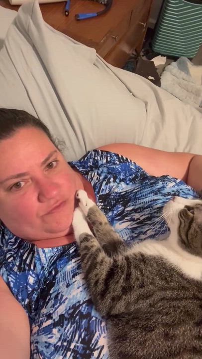 Enlarge Rilee (sweet girl) **VIDEO** , a ADOPTABLE Domestic Short Hair in Port Orange, FL video 1/5