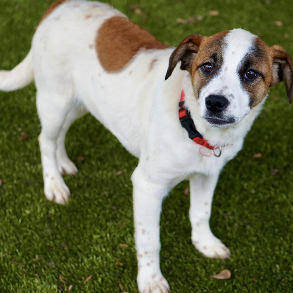 Lucia — thumbnail 2