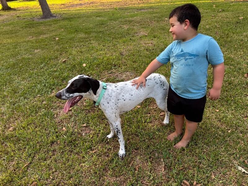 Enlarge Nellie Noble and Nurturing, a Adoptable mixed breed in Friendswood, TX image 5/6