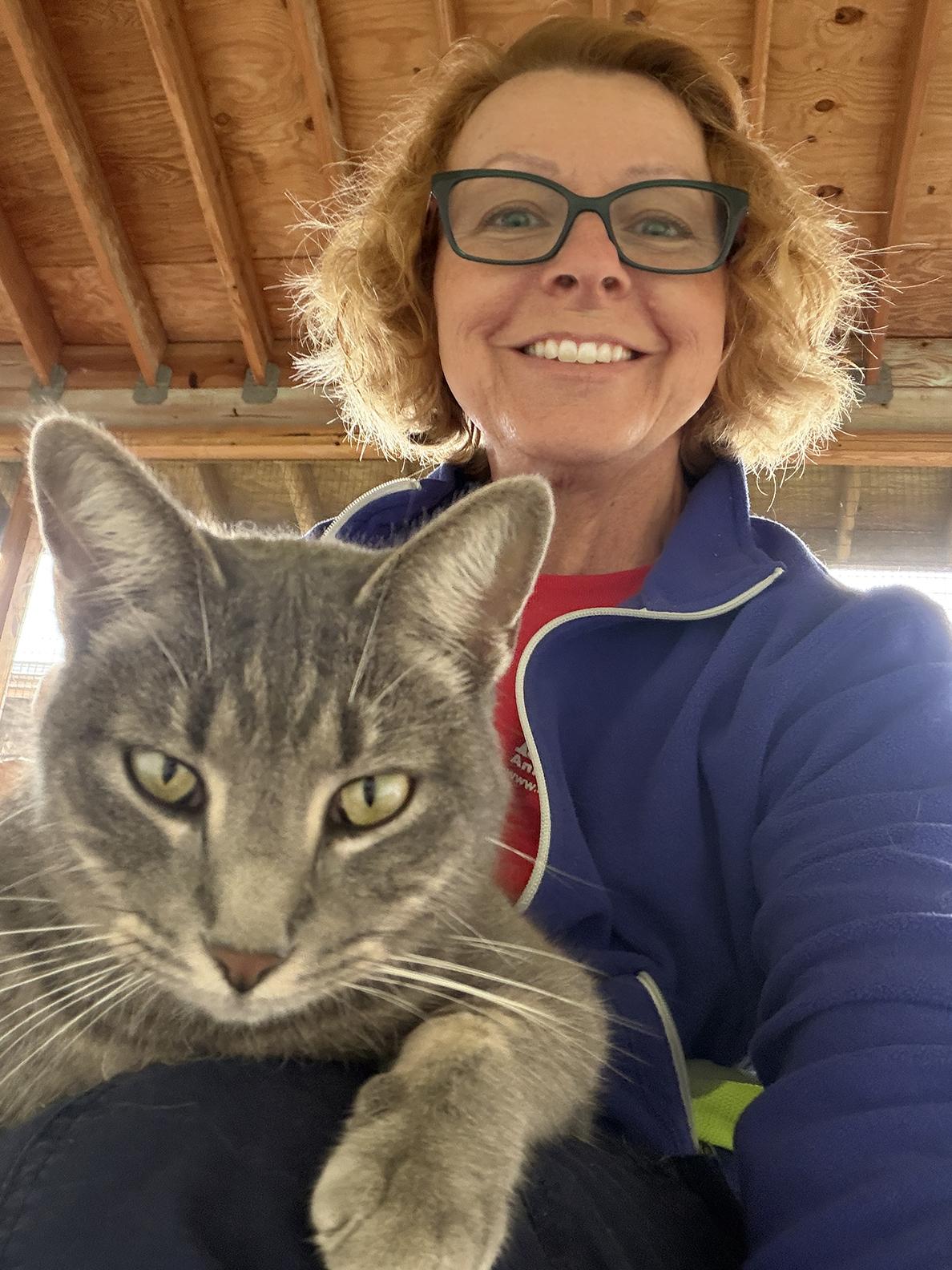 Enlarge Summer, a Adoptable Domestic Short Hair in North Fort Myers, FL image 6/6