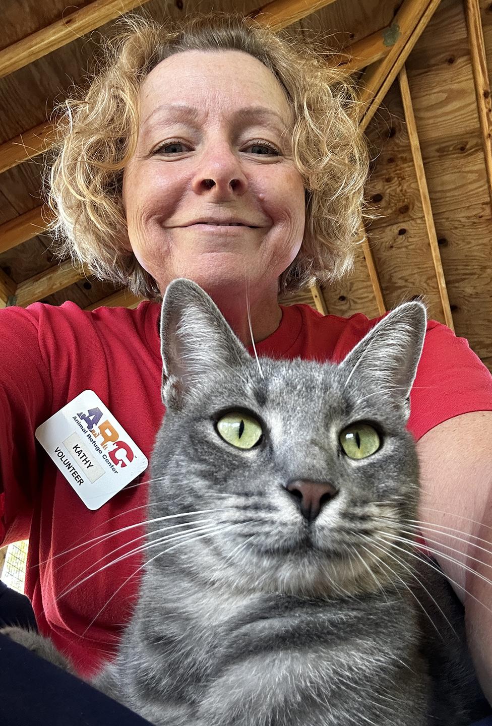 Enlarge Summer, a Adoptable Domestic Short Hair in North Fort Myers, FL image 5/6