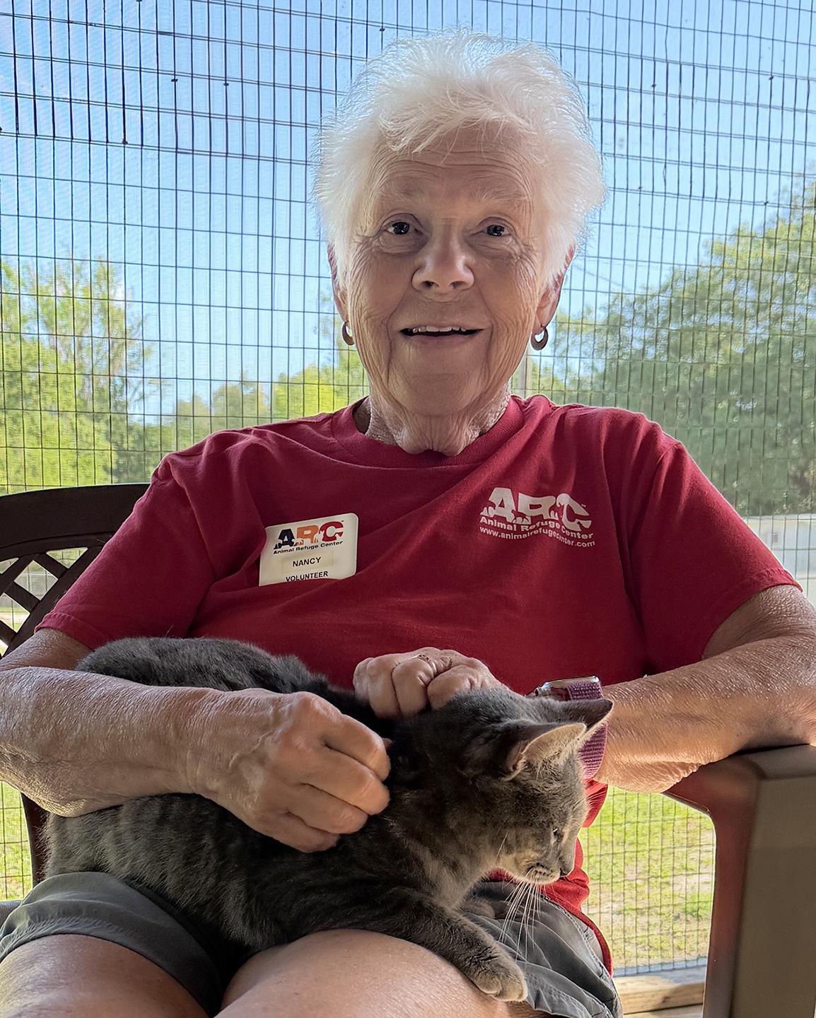 Enlarge Summer, a Adoptable Domestic Short Hair in North Fort Myers, FL image 4/6