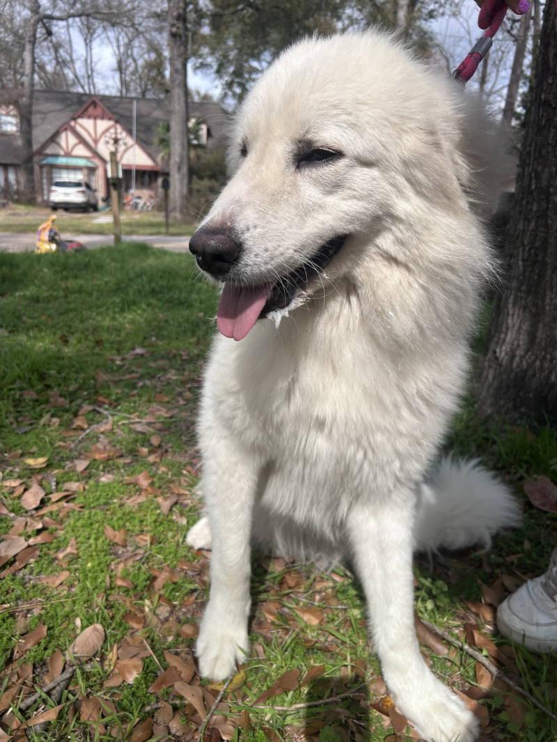 Ruby — thumbnail 4