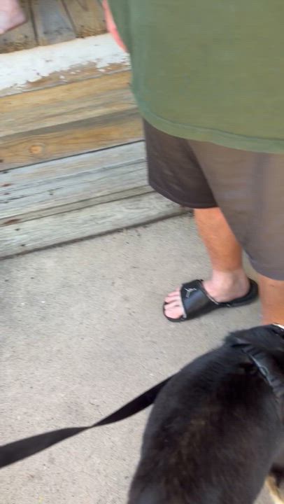 Enlarge Denver, a ADOPTABLE mixed breed in Stuarts Draft, VA video 5/5