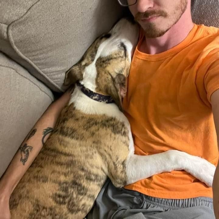 Serendipity PC, an adoptable Terrier in Goliad, TX, 77963 | Photo Image 4