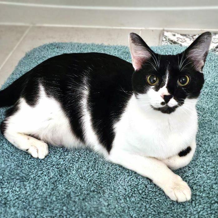 Bliss — thumbnail 2