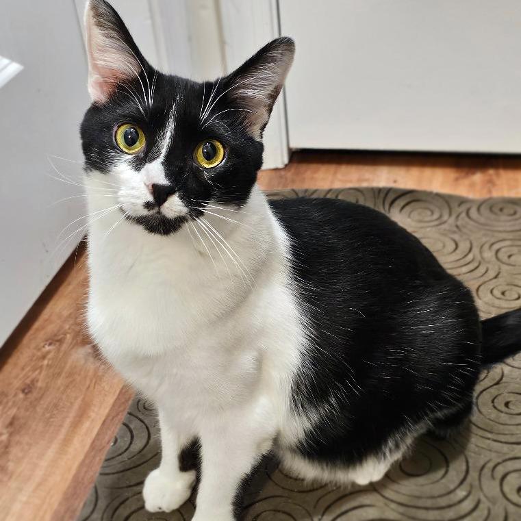 Bliss — thumbnail 5