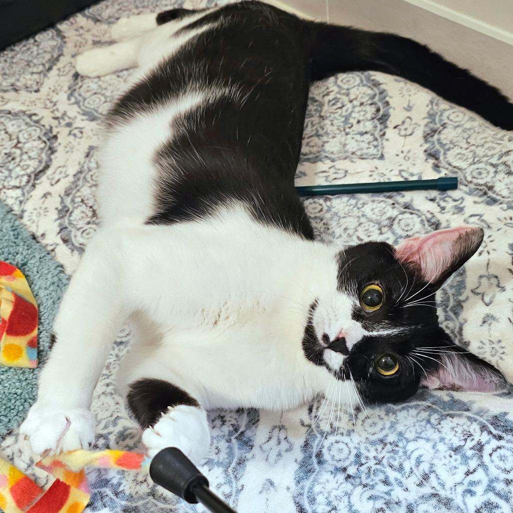 Bliss — thumbnail 6