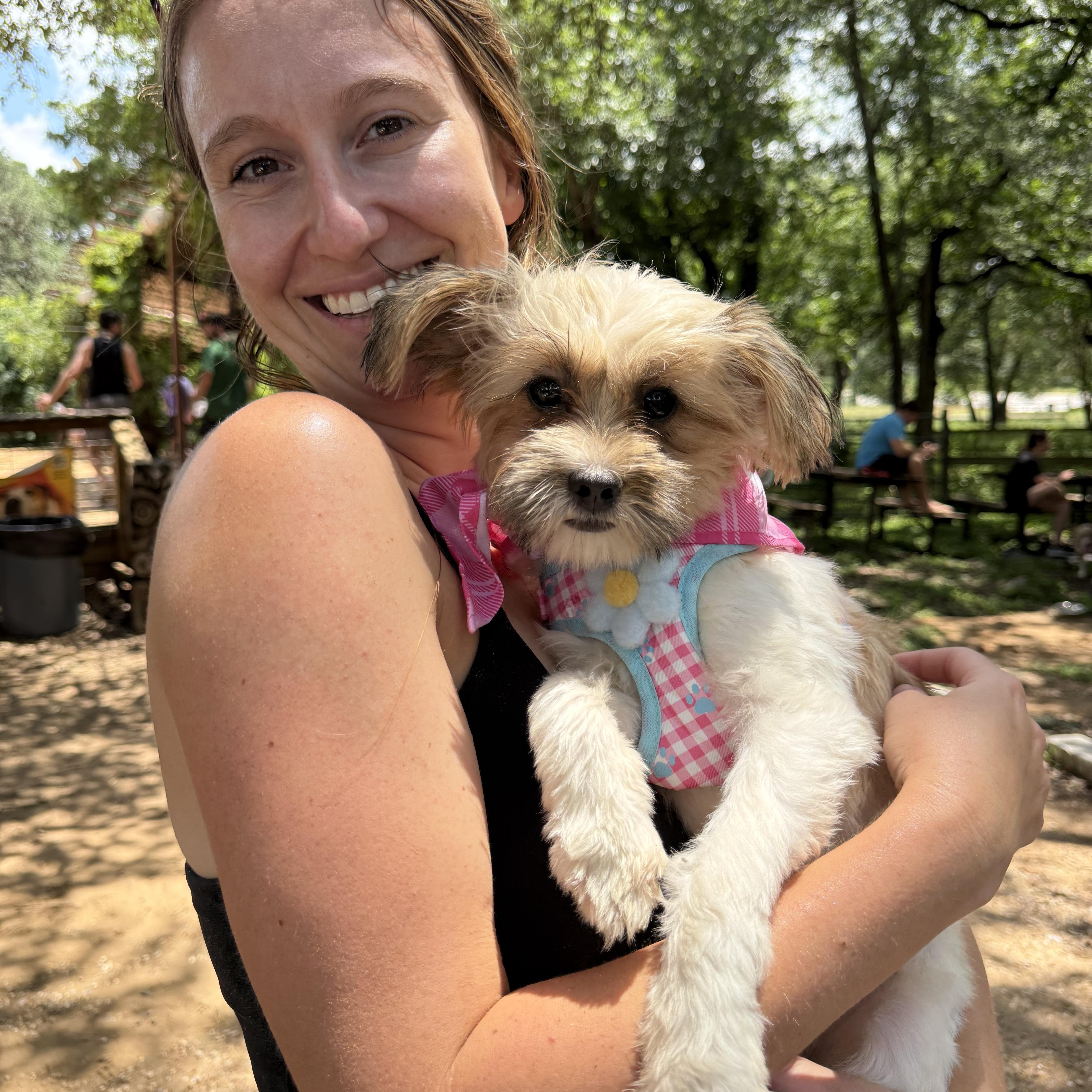 Praline is Sweet as Pie, a Adoptable mixed breed in Lockhart, TX image 1/6
