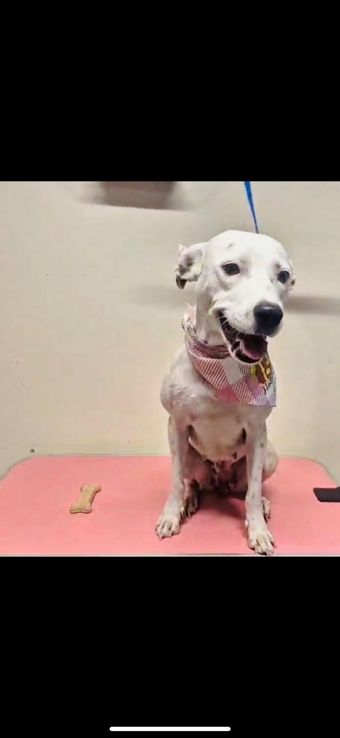 Penelope  The Soul thumbnail 3