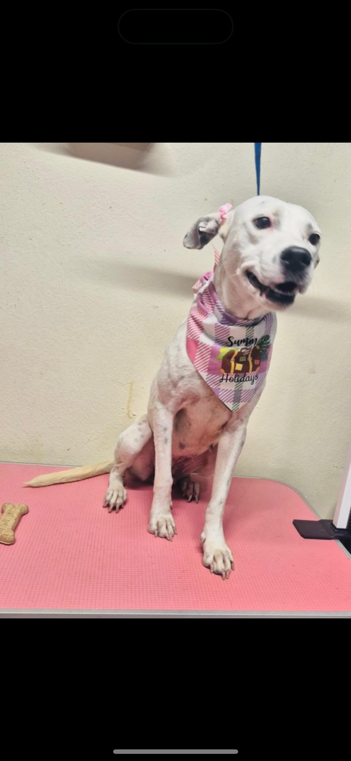 Penelope  The Soul thumbnail 2