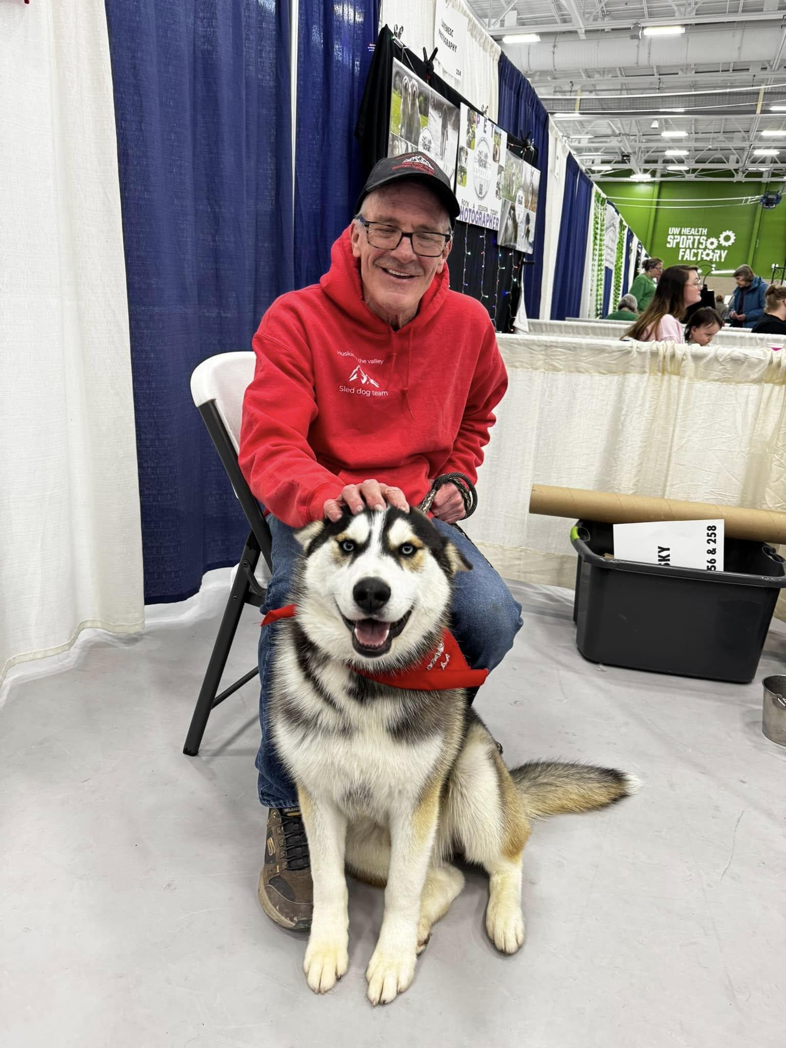 Steel, a Adopted Siberian Husky in Harvard, IL image 3/6