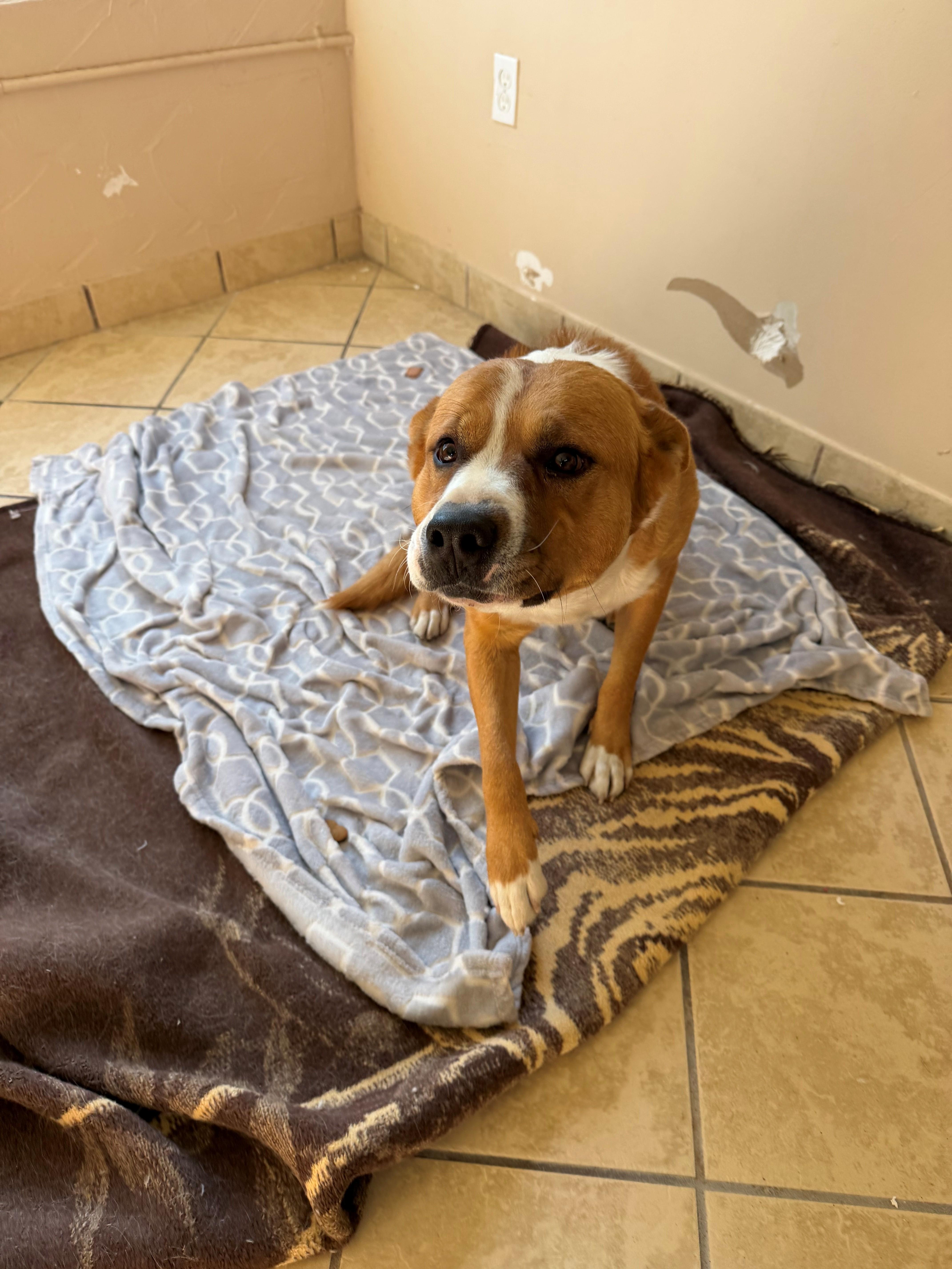 Porter — thumbnail 2