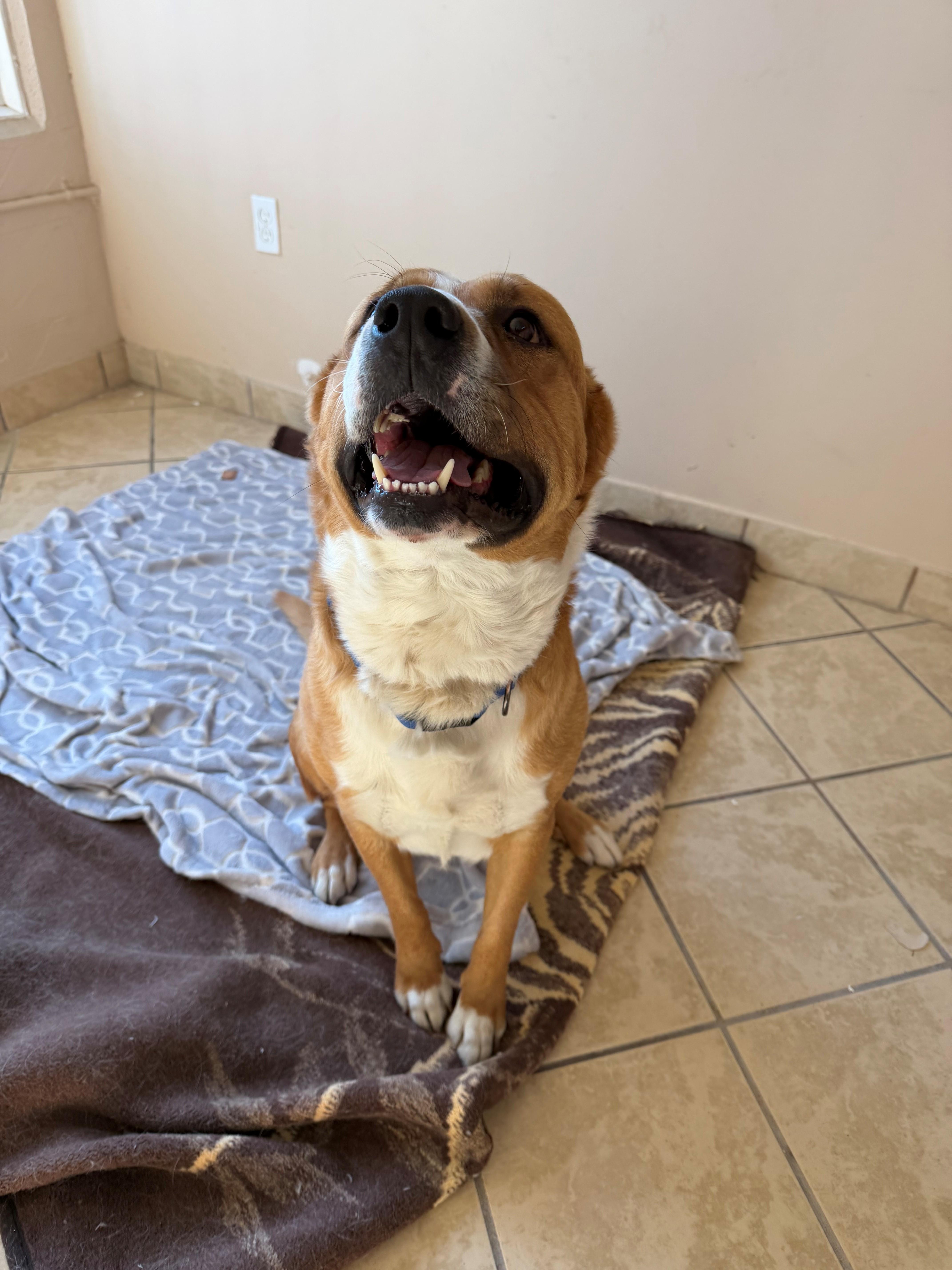 Porter — thumbnail 3